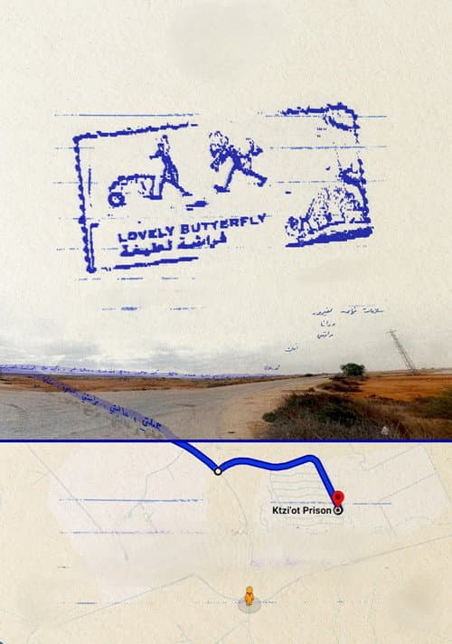 فراشة لطيفة